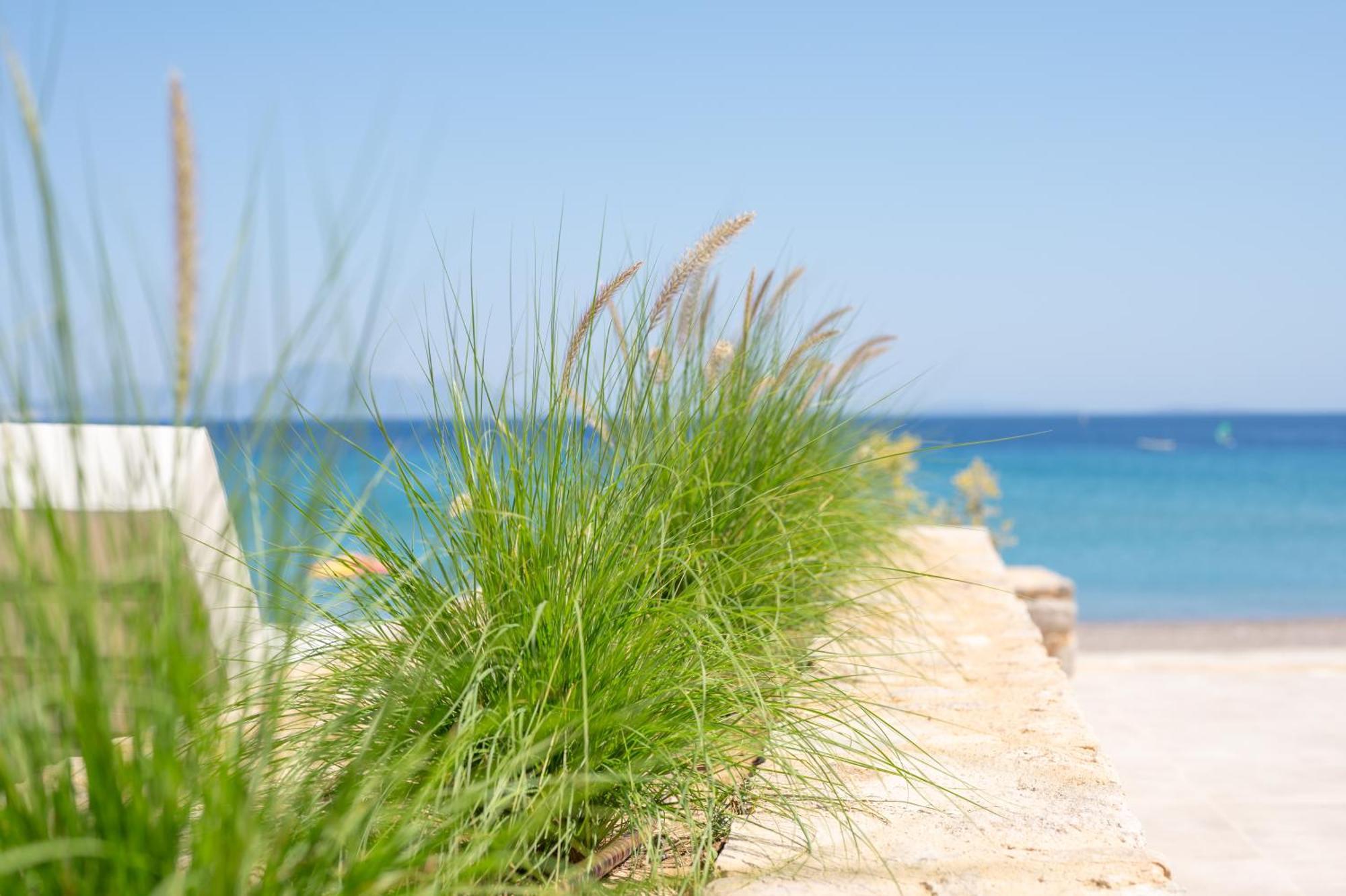 Nalu Luxury Suites Adults Only Κέφαλος Εξωτερικό φωτογραφία